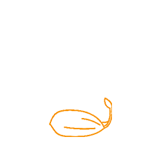 2005 2005