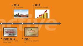 发展历程